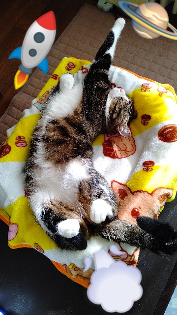 f:id:shounmama:20201020132322j:image