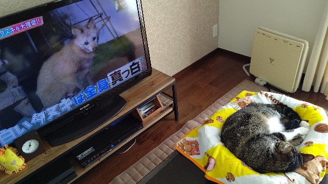 f:id:shounmama:20201020133100j:image