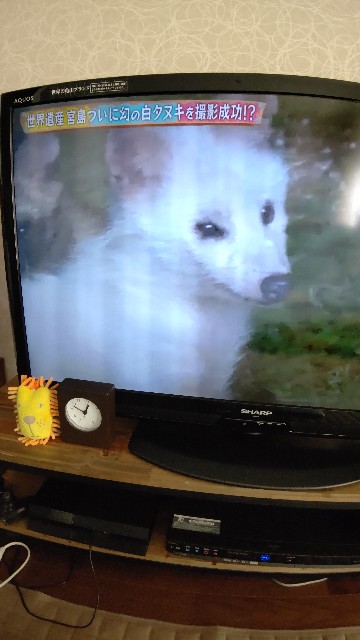 f:id:shounmama:20201020134640j:image