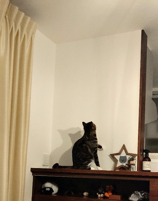 f:id:shounmama:20201022200633j:image