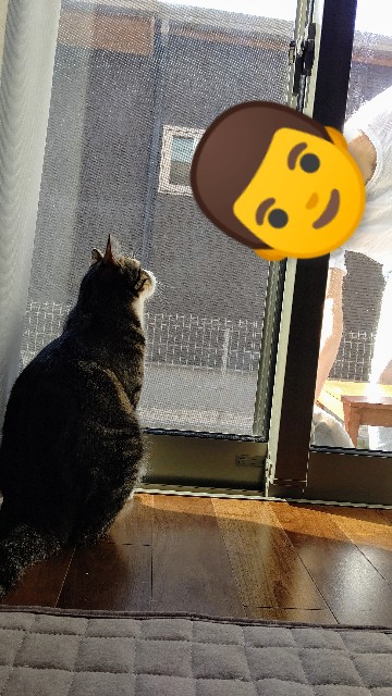 f:id:shounmama:20201104101732j:image