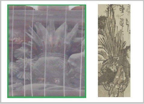 f:id:shousin:20211227093900j:plain