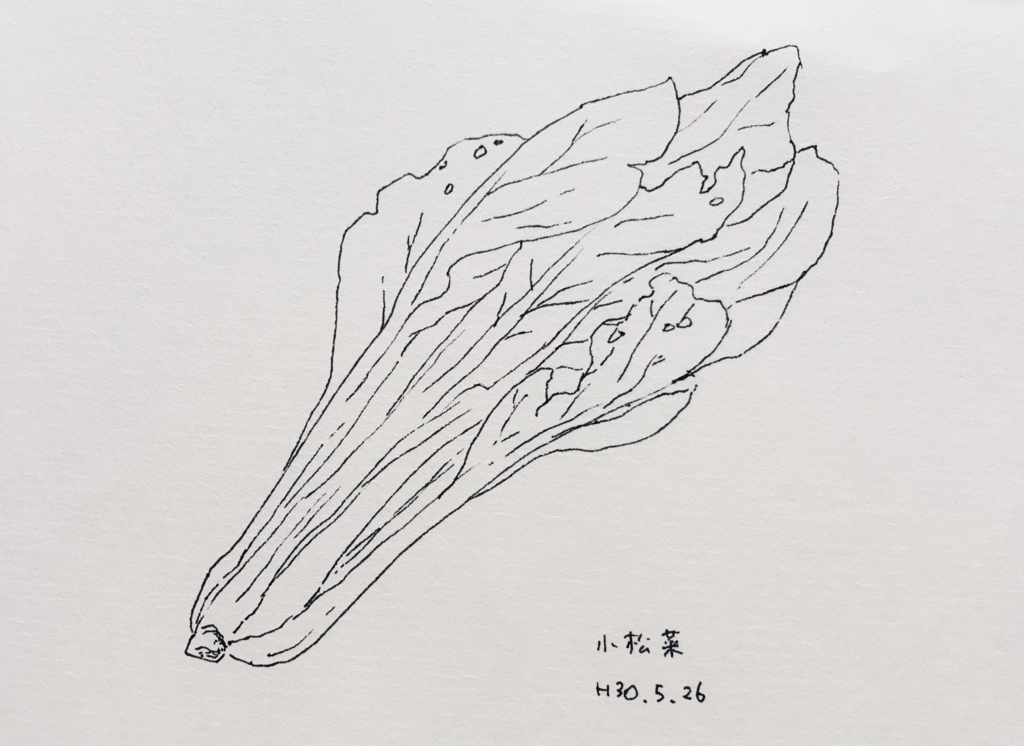 f:id:shouwano:20180531220055j:plain f:id:shouwano:20180531220055j:plain