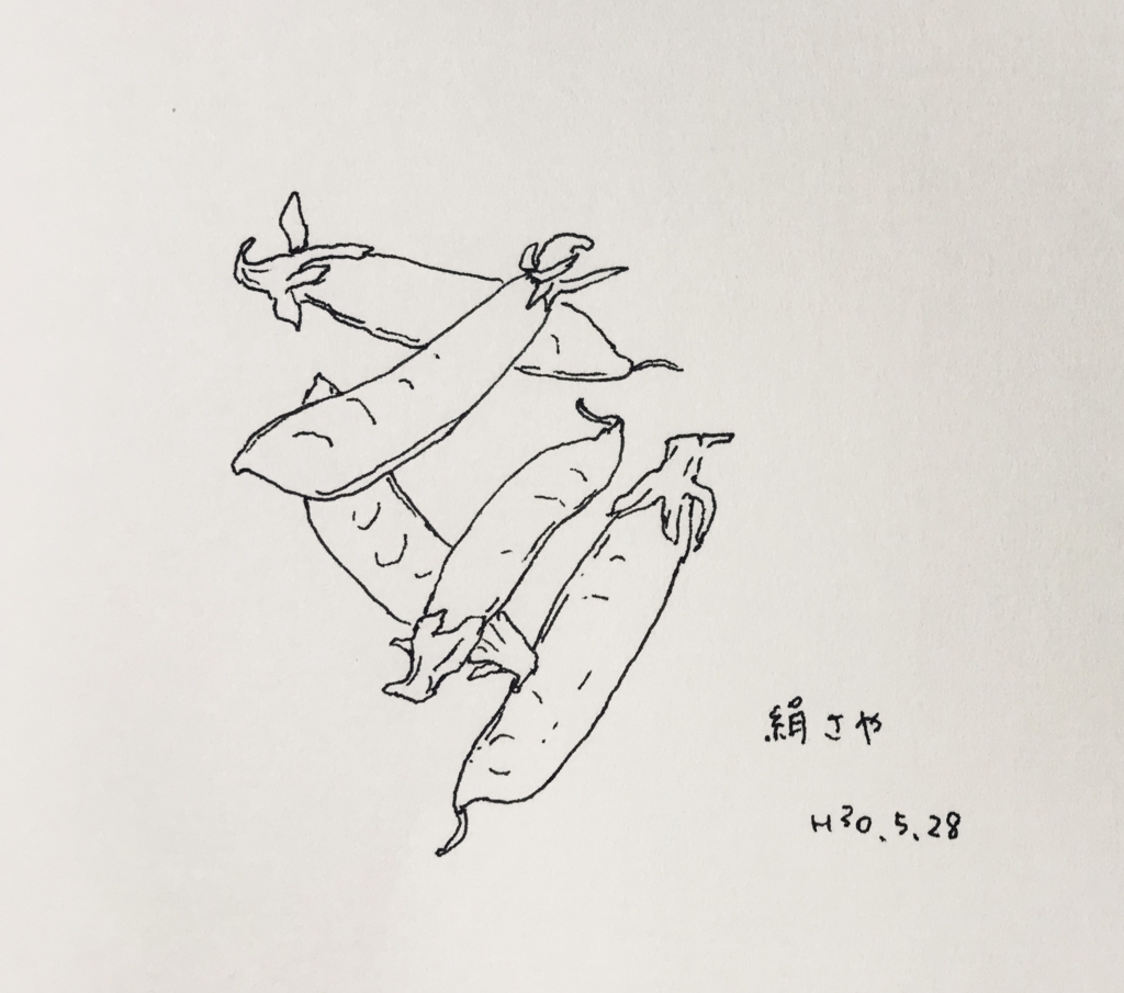f:id:shouwano:20180531220159j:plain f:id:shouwano:20180531220159j:plain