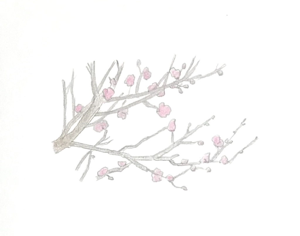 f:id:shouwano:20190228120521j:plain