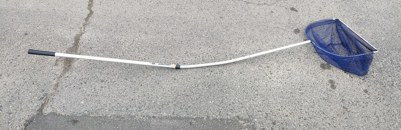 f:id:shovelmama:20240103200458j:image