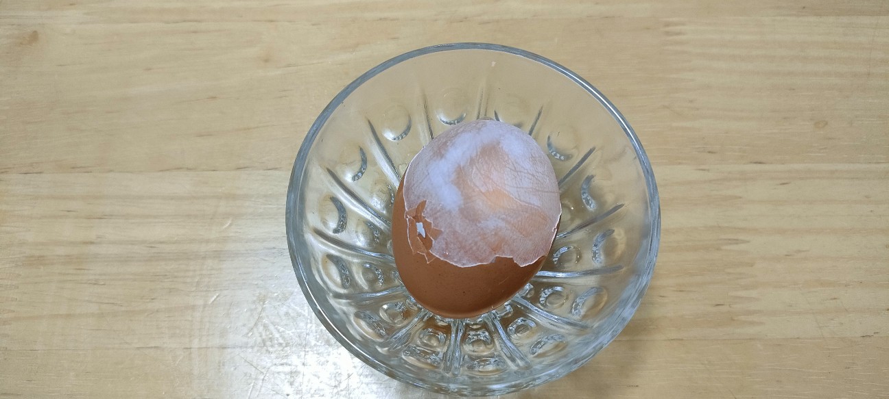 f:id:shovelmama:20240119140321j:image