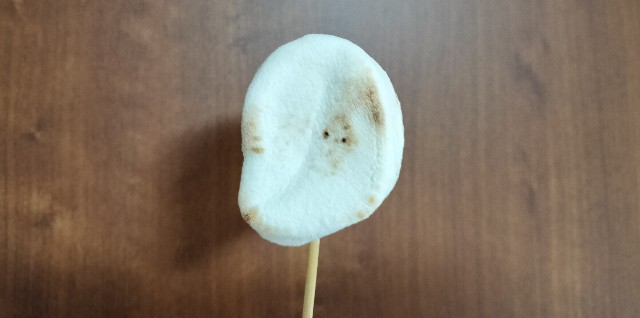 f:id:shovelmama:20240213212053j:image f:id:shovelmama:20240213212053j:image