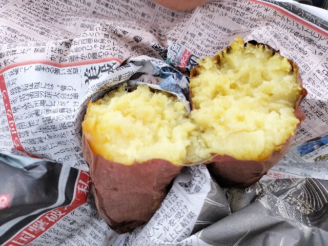 f:id:shovelmama:20240219214958j:image