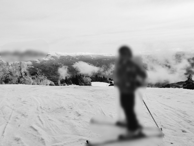 f:id:shovelmama:20240225215233j:image