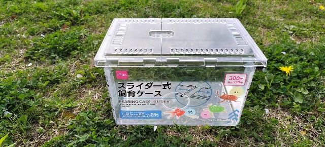 f:id:shovelmama:20240412070050j:image f:id:shovelmama:20240412070050j:image