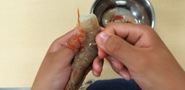 f:id:shovelmama:20240429170449j:image