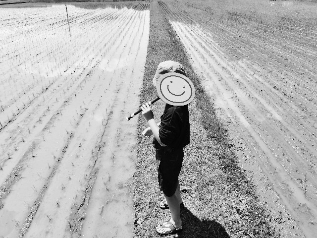 f:id:shovelmama:20240511061719j:image