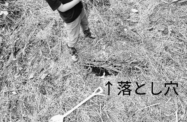 f:id:shovelmama:20240513140607j:image