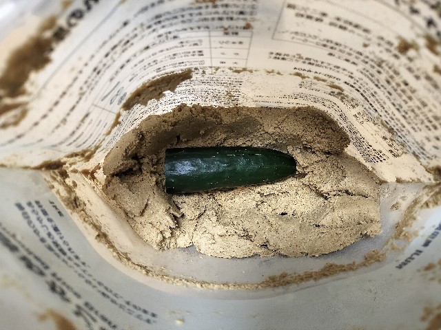 f:id:shovelmama:20240520223758j:image