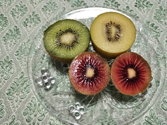 f:id:shovelmama:20240524232419j:image