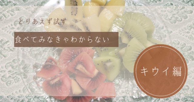 f:id:shovelmama:20240525000712j:image