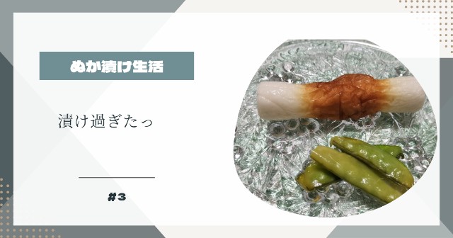 f:id:shovelmama:20240527151619j:image