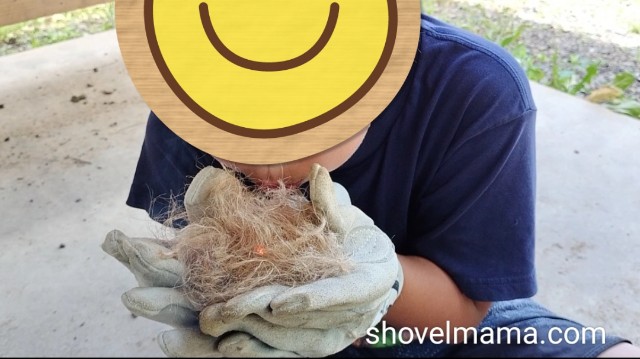 f:id:shovelmama:20240610232644j:image