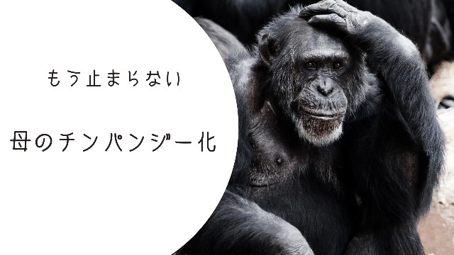 f:id:shovelmama:20240710140832j:image f:id:shovelmama:20240710140832j:image