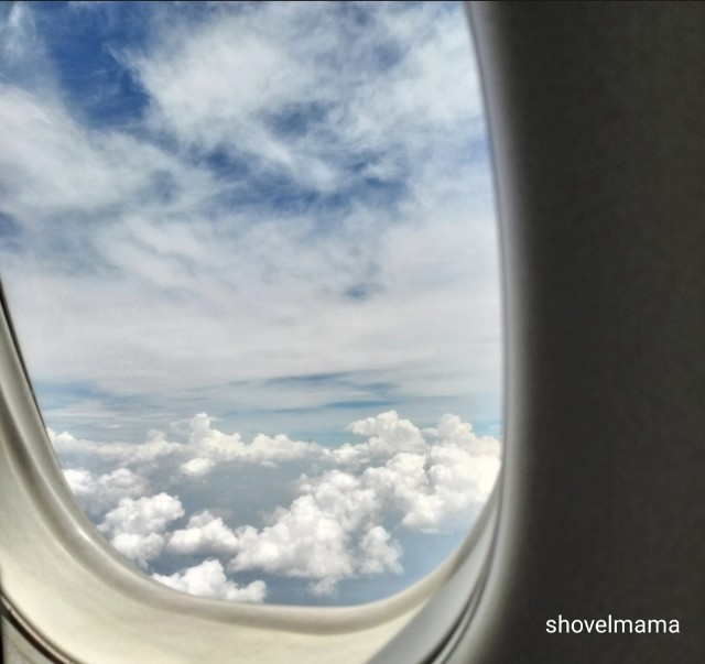 f:id:shovelmama:20240722141540j:image