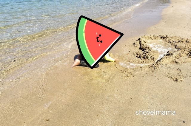 f:id:shovelmama:20240808092659j:image
