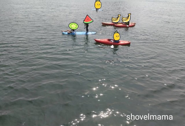 f:id:shovelmama:20240810231622j:image