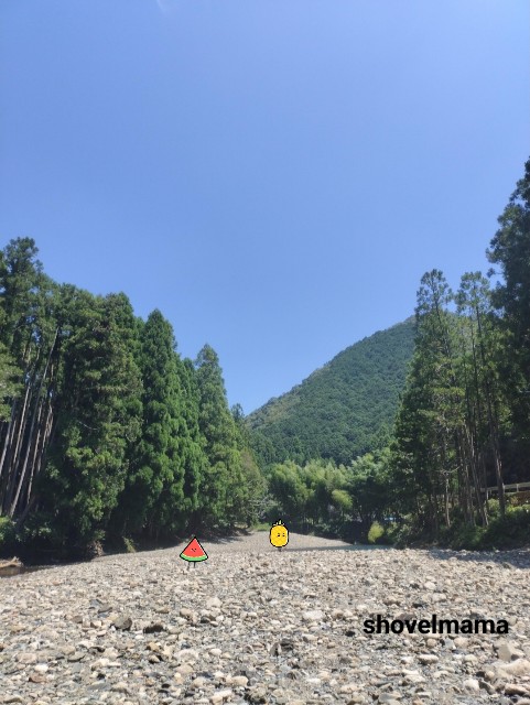f:id:shovelmama:20240815052513j:image