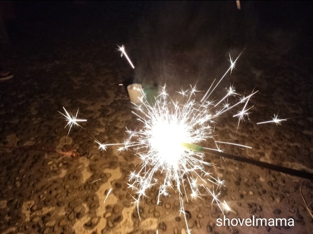 f:id:shovelmama:20240815054024j:image