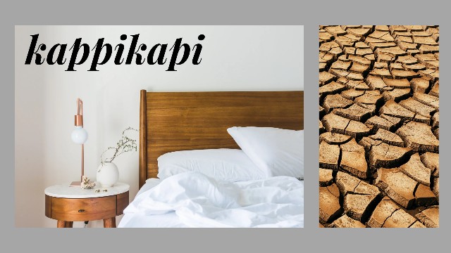 f:id:shovelmama:20240912231037j:image