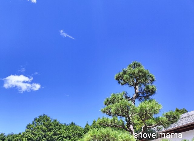 f:id:shovelmama:20240923200528j:image