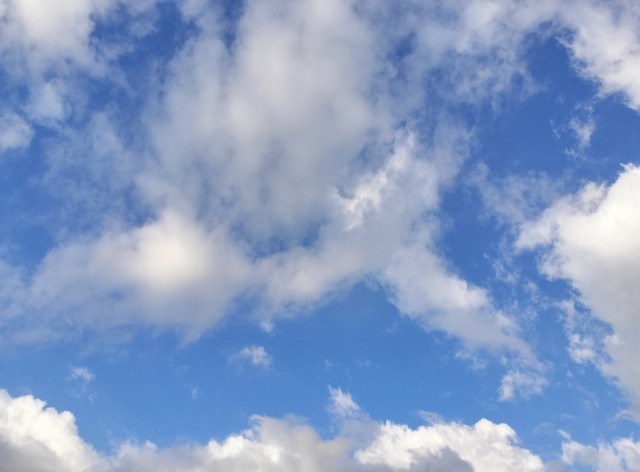 f:id:shovelmama:20241112075022j:image