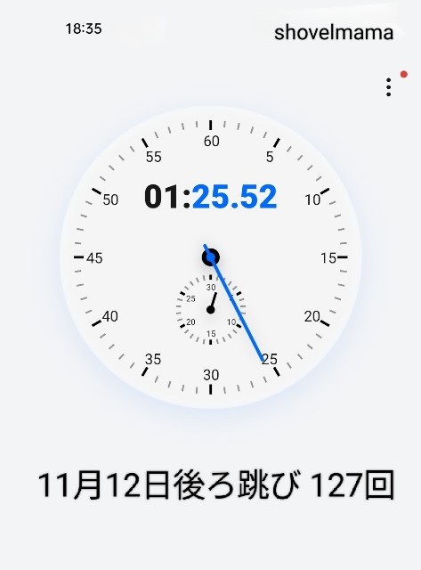 f:id:shovelmama:20241113080026j:image