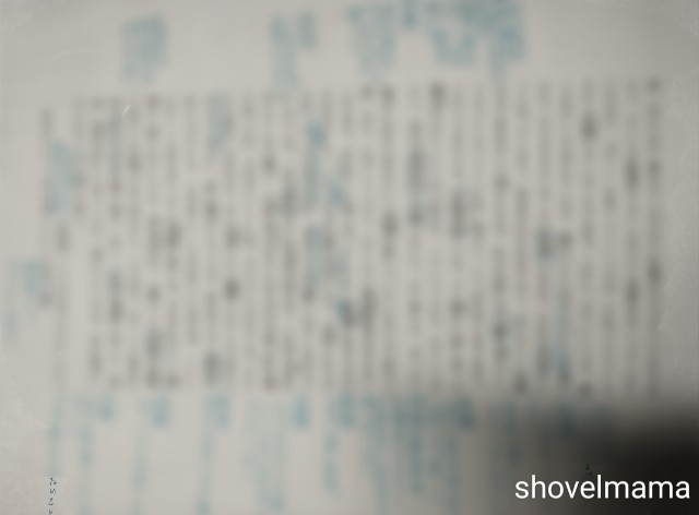 f:id:shovelmama:20241203215801j:image