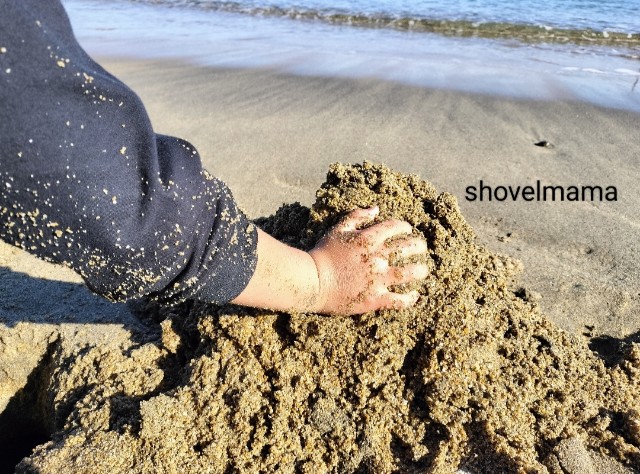 f:id:shovelmama:20241231051449j:image
