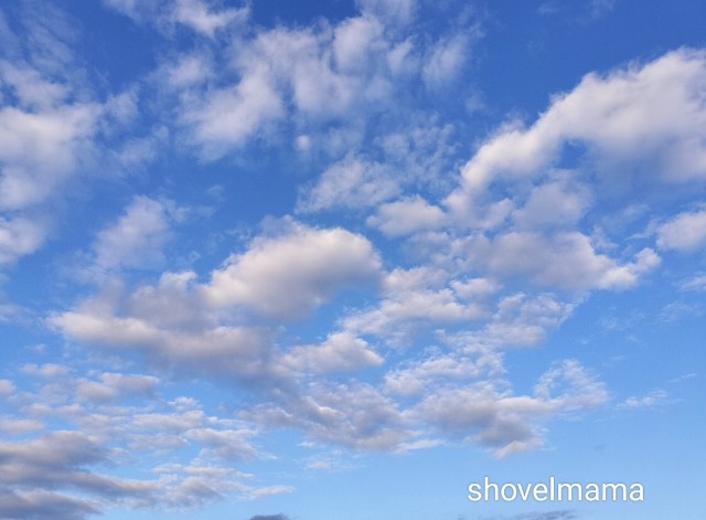f:id:shovelmama:20250101223128j:image