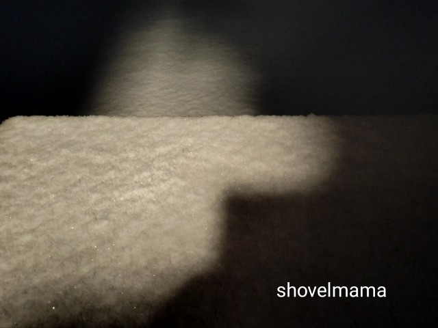 f:id:shovelmama:20250110220015j:image