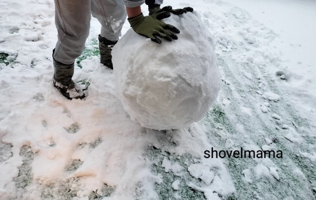 f:id:shovelmama:20250110220907j:image