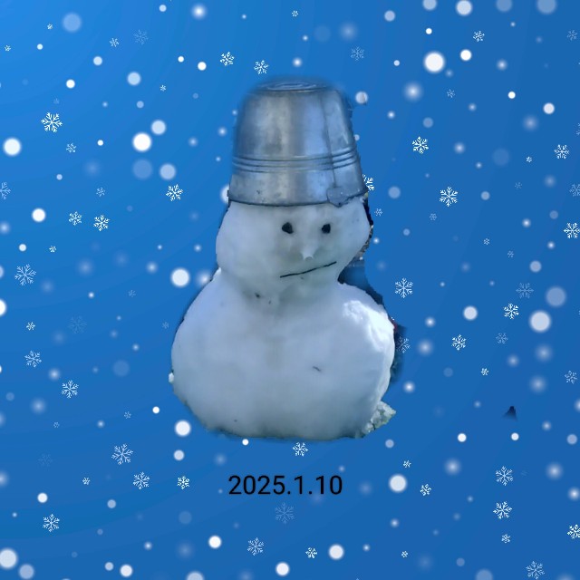 f:id:shovelmama:20250110224817j:image