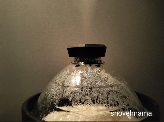 f:id:shovelmama:20250111064342j:image