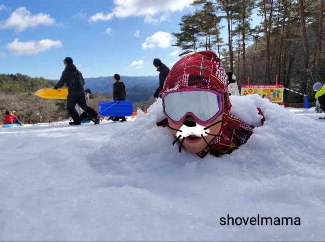 f:id:shovelmama:20250112070340j:image