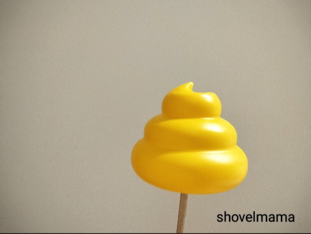 f:id:shovelmama:20250112070941j:image
