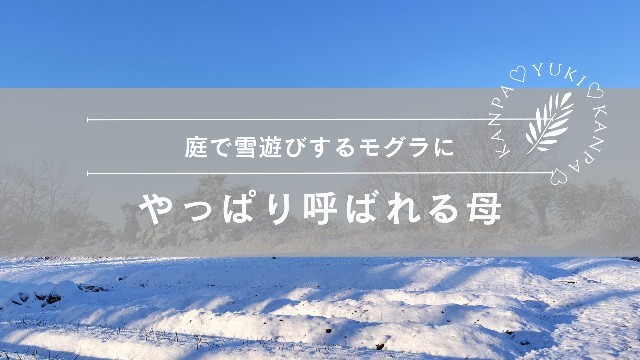 f:id:shovelmama:20250209105709j:image