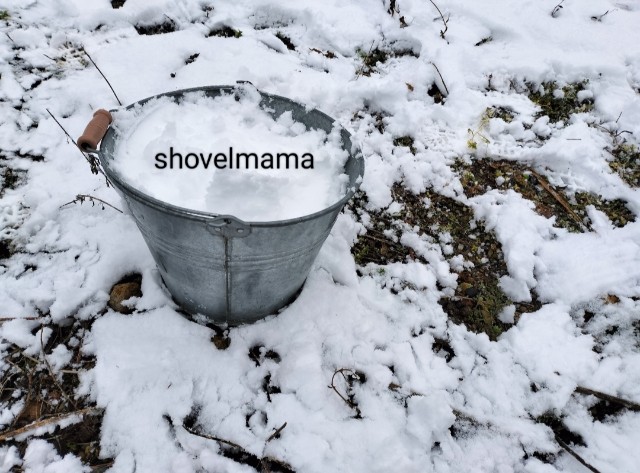 f:id:shovelmama:20250209110111j:image