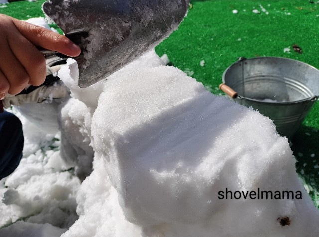 f:id:shovelmama:20250209133115j:image