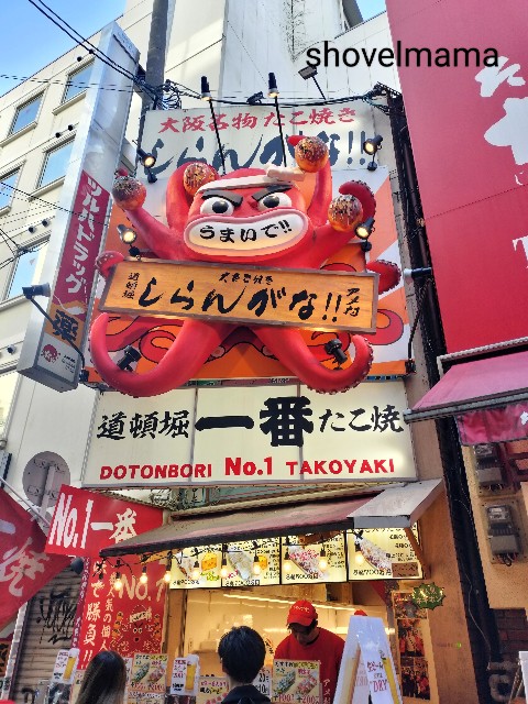 f:id:shovelmama:20250211163203j:image