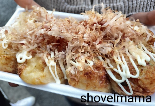 f:id:shovelmama:20250211163509j:image