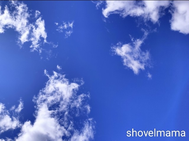 f:id:shovelmama:20250221134649j:image