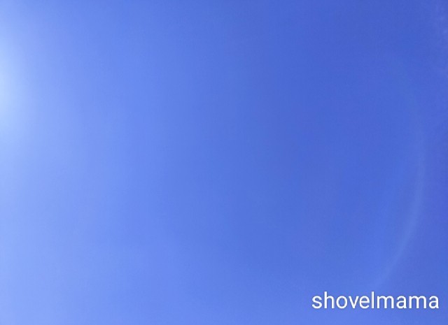 f:id:shovelmama:20250301104635j:image