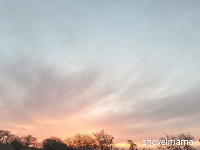 f:id:shovelmama:20250302104142j:image
